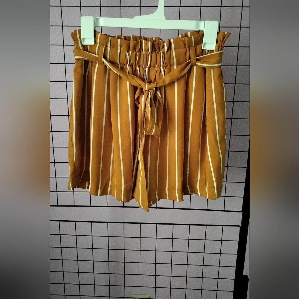 Like New Iris Striped Shorts